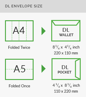 DL Envelope Size